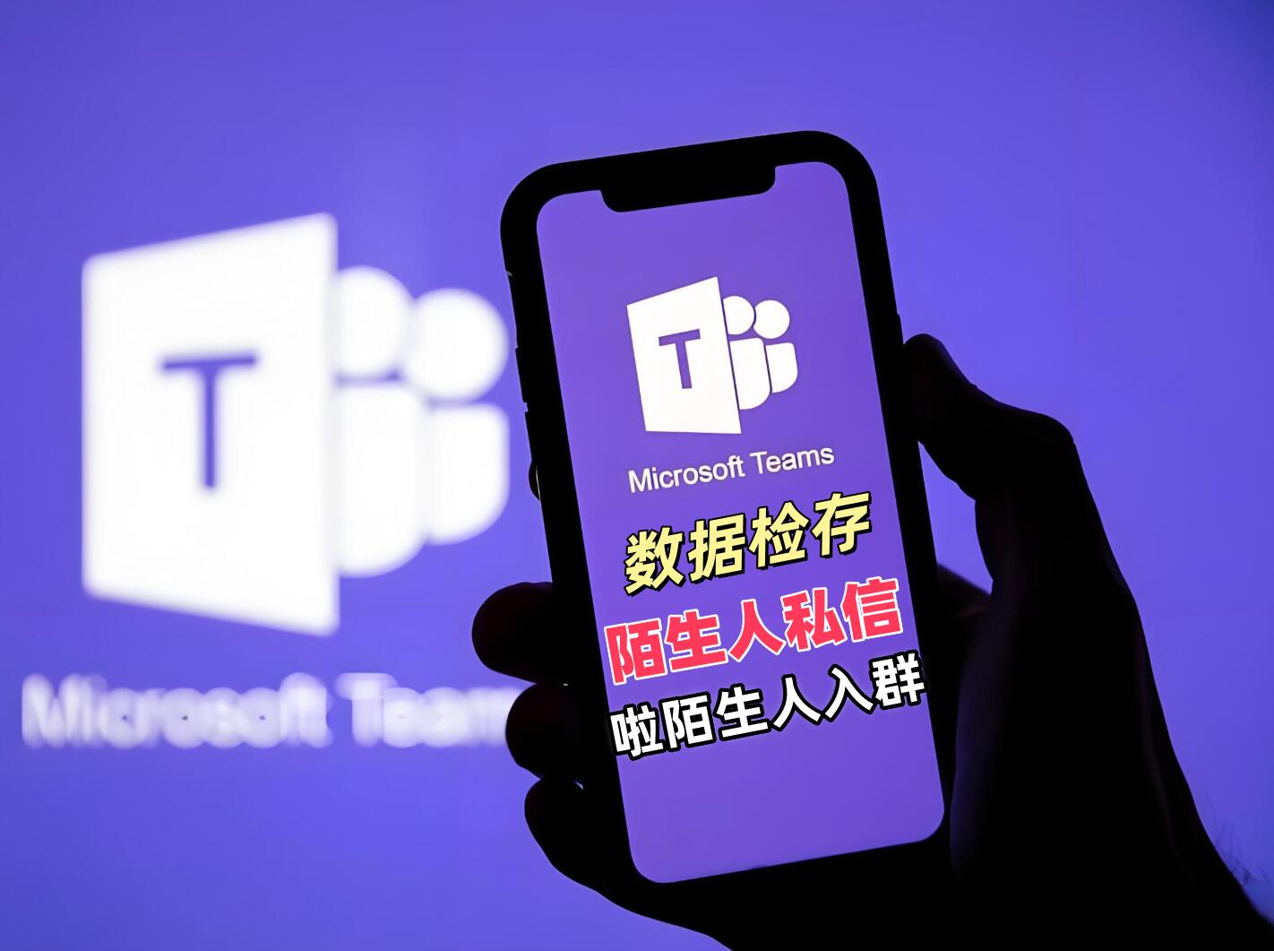 Microsoft Teams 协议软件 支持数据检存 陌生人私信 陌生人拉群等功能-6协议-村兔网